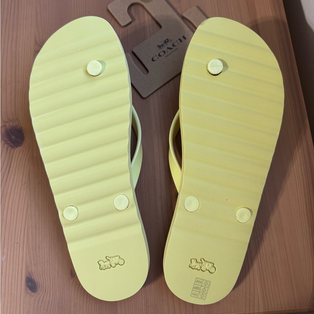 🍋Coach Zayn Flip Flop With Fruit Print - Picture 9 of 9